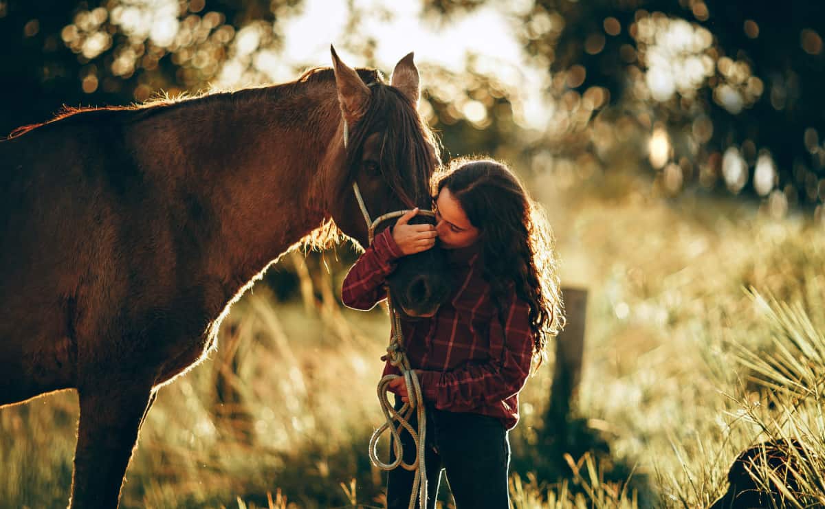 Equine therapy session in progress, showcasing the therapeutic interactions with horses in our offsite addiction treatment activities.