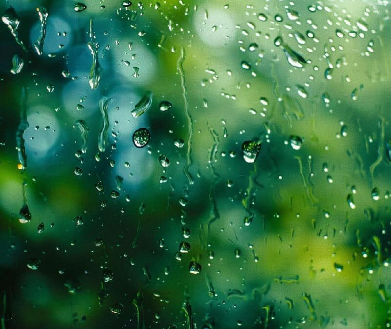 2. Raindrops streak down a window, the world beyond a blur, representing the unclear and confused state of mind experienced in Wet Brain.